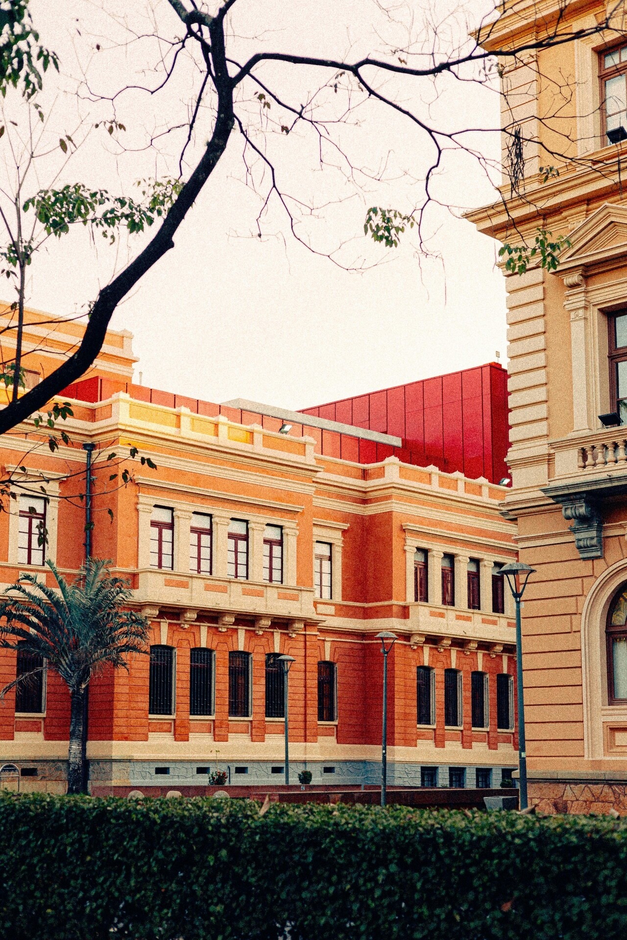 Pexels iitsbruna 29099997