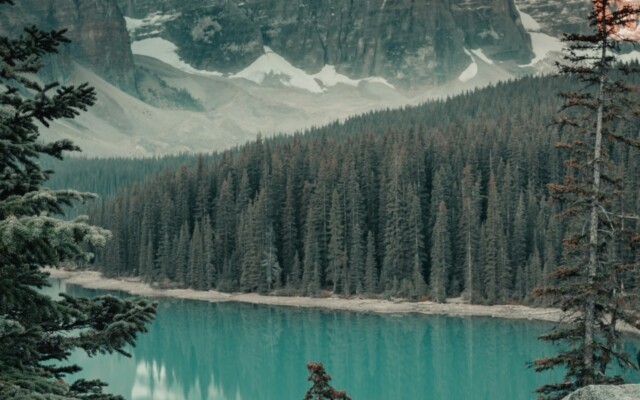 Pexels marlon martinez 505085 1450078