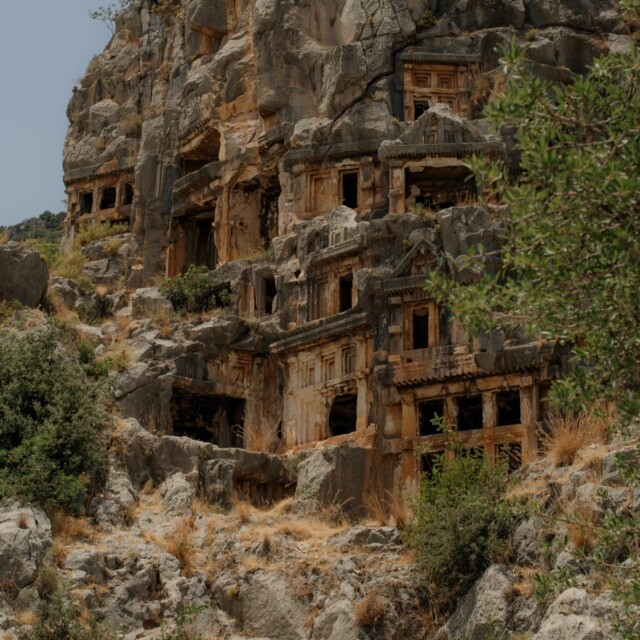 Pexels immortelleana 27260888