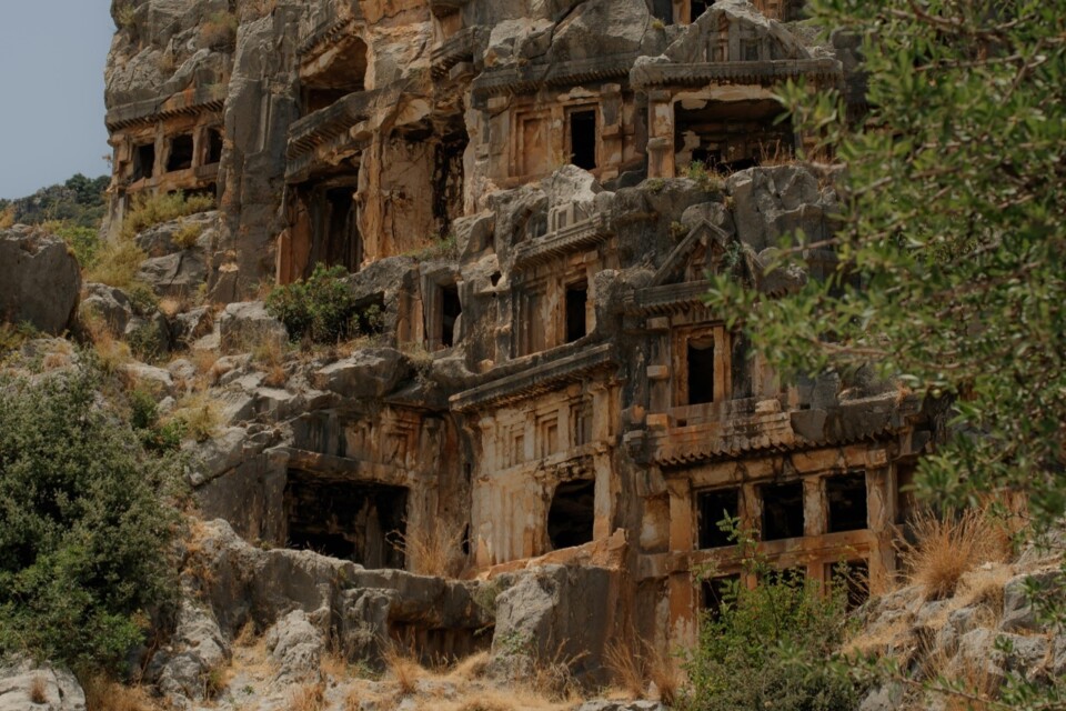 Pexels immortelleana 27260888